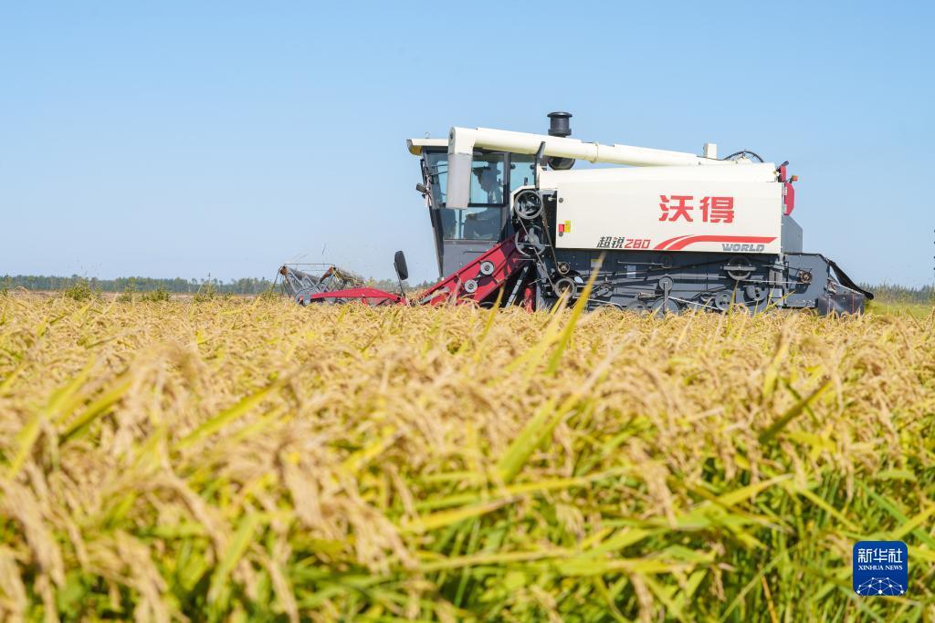 永利手游技巧